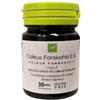 OTI Srl Coleus Forskohlii Estratto Secco 30 Capsule