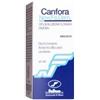 NEW FA.DEM. Srl Canfora 10% Soluzione Cutanea 100ml - Farmaci per Dolori Articolari e Muscolari