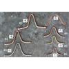 Ganci Di Ricambio Per Connessione Coppe Catene Pioggia Rif. Modelli: R Bl-41