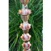 Catena Per Pioggia A Coppa Rame Per Grondaie ForHome® - Fluidibilità 4,5/5 - Kit Catena Completa - (22)
