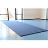Pista Easy Gimnastic Mat a rotolo su misura