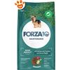 Forza10 Dog Maintenance Mini Adult Cervo e Patate - Sacco Da 2 Kg