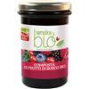HEALTION Srl SOCIETA' BENEFIT Composta di Frutti di Bosco con Polpa di Mela Bio, 320 g