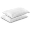 Spizzico Home COPRICUSCINO SANFORIZZATO CM. 50x80 CERNIERA - 48 Pezzi
