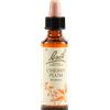 SCHWABE PHARMA ITALIA Cherry Plum Bach Original 20 Ml