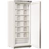 CoolHead Armadio Congelatore in abs Bianco con ceste Modello CN613