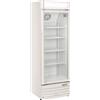 CoolHead Vetrina refrigerata per bibite Modello DC388C Assorbimento 172 W Capacità Lt. 339 Temp.°C. 1 / 10 Dim. cm L.60 P.57 H.183.5
