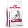 Royal Canin Veterinary Renal Select per cane 10 kg