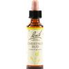 SCHWABE PHARMA ITALIA Chestnut Bud Bach Original 20 Ml