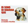 CAMON TARGA IO SONO DI GUARDIA QUI GOLDEN RETRIEVER B502/P