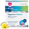 NATURWAREN ITALIA Srl Active Nutrient Magnesio E Potassio Dr. Theiss 20 Bustine