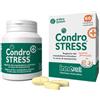 INNOVET CONDROSTRESS (+) 60CPR/6 New