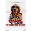 Moviemax Bailey - Il cane più ricco del mondo