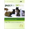 Lichtung Puppies & Kittens - Special Collector's Edition