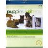 Lichtung Puppies & Kittens - Special Collector's Edition (Blu-Ray Disc)
