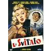 Ripleys Home Video Lo svitato