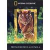 Cinehollywood Predatori della Giungla (DVD + Booklet) (National Geographic)