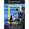 Cinehollywood Incredibile ma vero! (DVD + Booklet) (National Geographic)