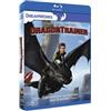 DreamWorks Dragon Trainer (Blu-Ray Disc)