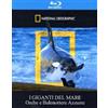 Cinehollywood I Giganti del mare (Blu-Ray Disc + Booklet) (National Geographic)