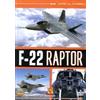 Cinehollywood F 22 Raptor (Aerei da Guerra)