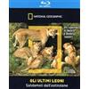 Cinehollywood Gli ultimi Leoni (Blu-Ray Disc + Booklet) (National Geographic)