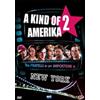 Dynit-Wave A Kind of Amerika 2