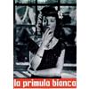 Cristaldi Film La primula bianca
