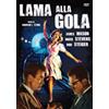 A e R Productions Lama alla gola