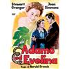 A e R Productions Adamo e Evelina