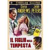 Golem Video Il figlio della tempesta (Cineclub Classico)