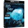 Warner Harry Potter e l'ordine della Fenice (4K Ultra HD + Blu-Ray Disc)