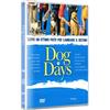 Notorius Pictures Dog Days