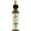SCHWABE PHARMA ITALIA Srl Bach 4 Centaury 20ml