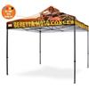 Bertoni Custom Personalizzazione Gazebo FULL PRINT Tetto 4x4 mt. con Cuciture Termonastrate