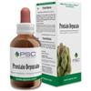 FORZA VITALE ITALIA Srl Prostato Depurato 50ml