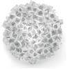SLAMP CLIZIA Mama non Mama LARGE Plafoniera 78 cm