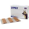 VETPLUS LTD Lypex Capsule - 60CP