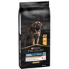 Purina Pro Plan Purina proplan adult large robust everyday nutrition ricco in pollo 14 kg