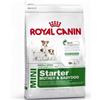 Royal canin mini starter mother and babydog 1 kg