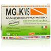 POOL PHARMA Srl MGK VIS LEMONADE 15BUST