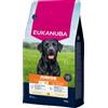Eukanuba Junior Large pollo per cane 15 kg