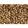 Erbamea Coriandolo frutti (100 g)