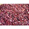 Erbamea Karkadè fiori (100 g)