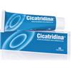 Farma-Derma Linea Medicazione Cicatridina Pomata 60 G