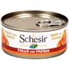 Schesir for dog with fruit (pollo e papaya) - 18 lattine da 150gr.