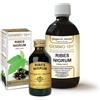 Dr. Giorgini Ribes Nigrum Ribes nero 100 ml