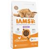 Iams Adult Hairball con pollo fresco per gatto 2 x 3 kg