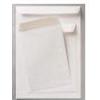 Pigna 500 Buste A Sacco Bianche 230X330Mm C/Finestra 100Gr Adesiva Competitor - 005439333