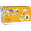 MONTEFARMACO OTC SpA VITALMIX Pappa Reale 10 Flaconcini 10ml